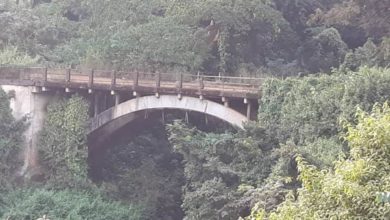 Des hauts cadres aux ciotyens lambda furent pendus à travers la Guinée dans des lieux de passages connus comme nuitamment. Source: Page Facebook: Camp Boiro Memory.jpg